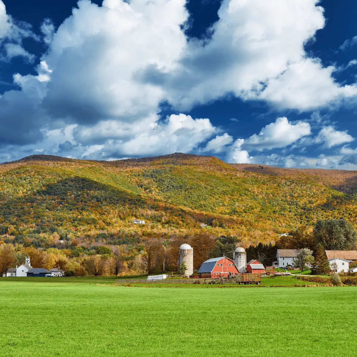 Farm with red barn and silos in a green field under a blue sky with white clouds.