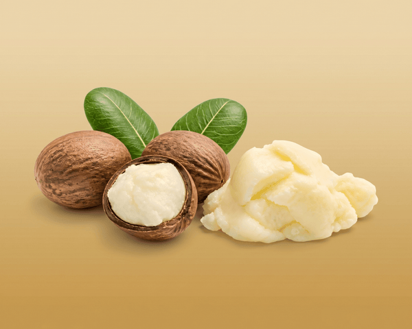 Shea butter with shea nuts and leaves