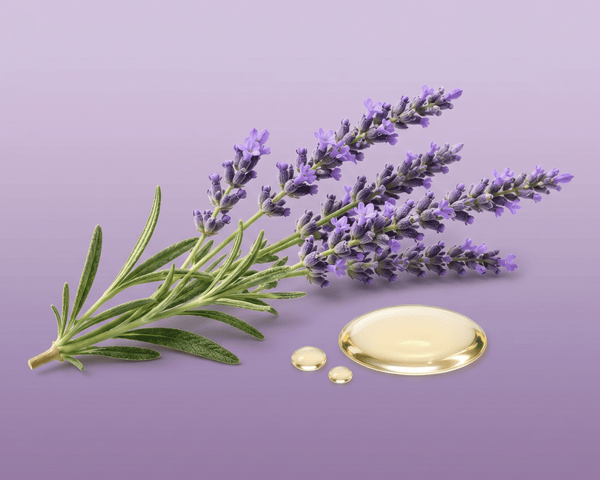 Lavandin Essential Oil