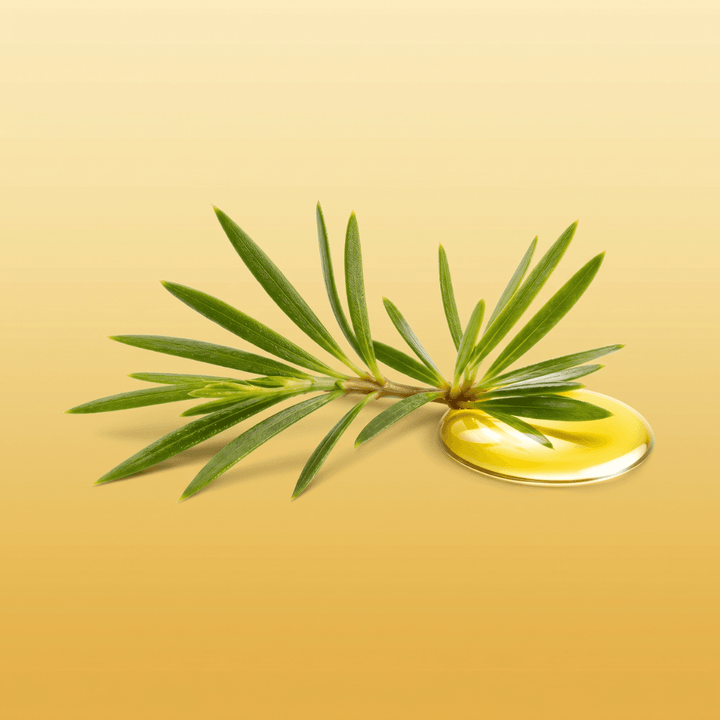 TEA TREE ESSENTIAL OIL