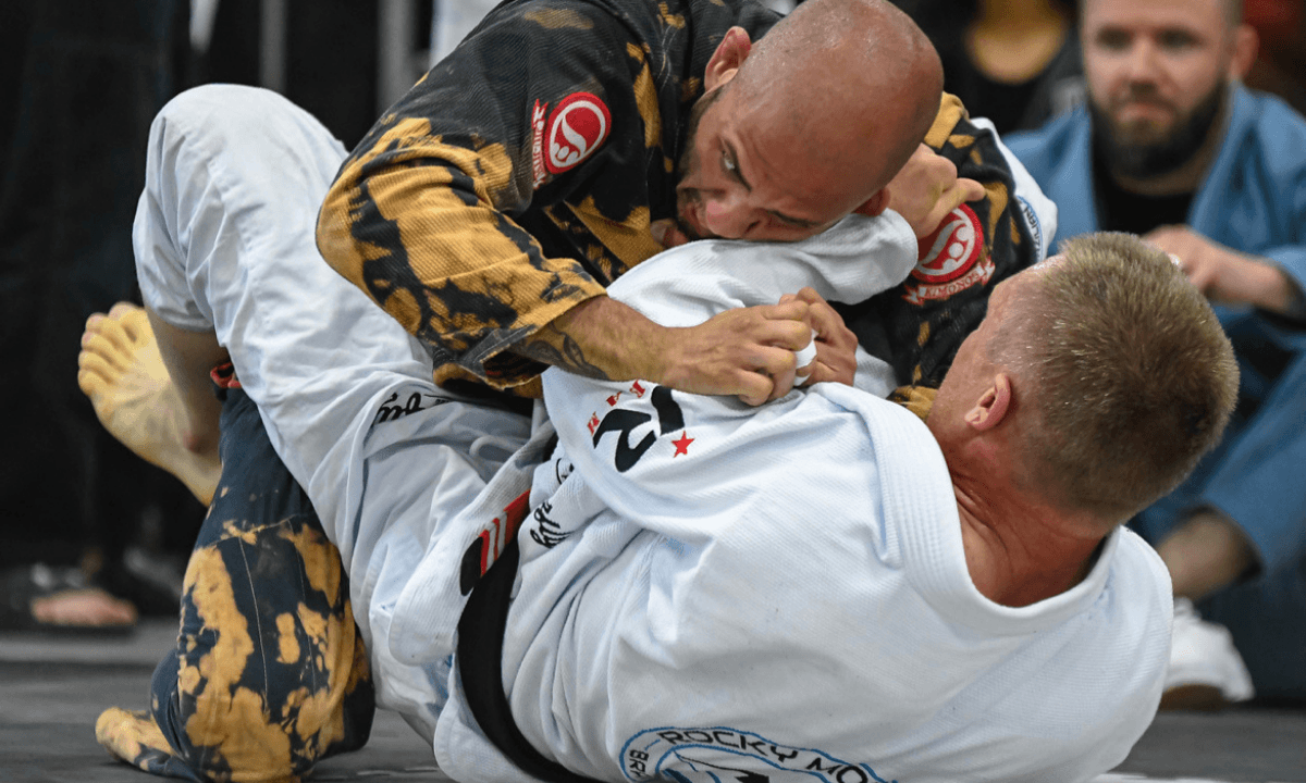 BJJ Techniques Compendium