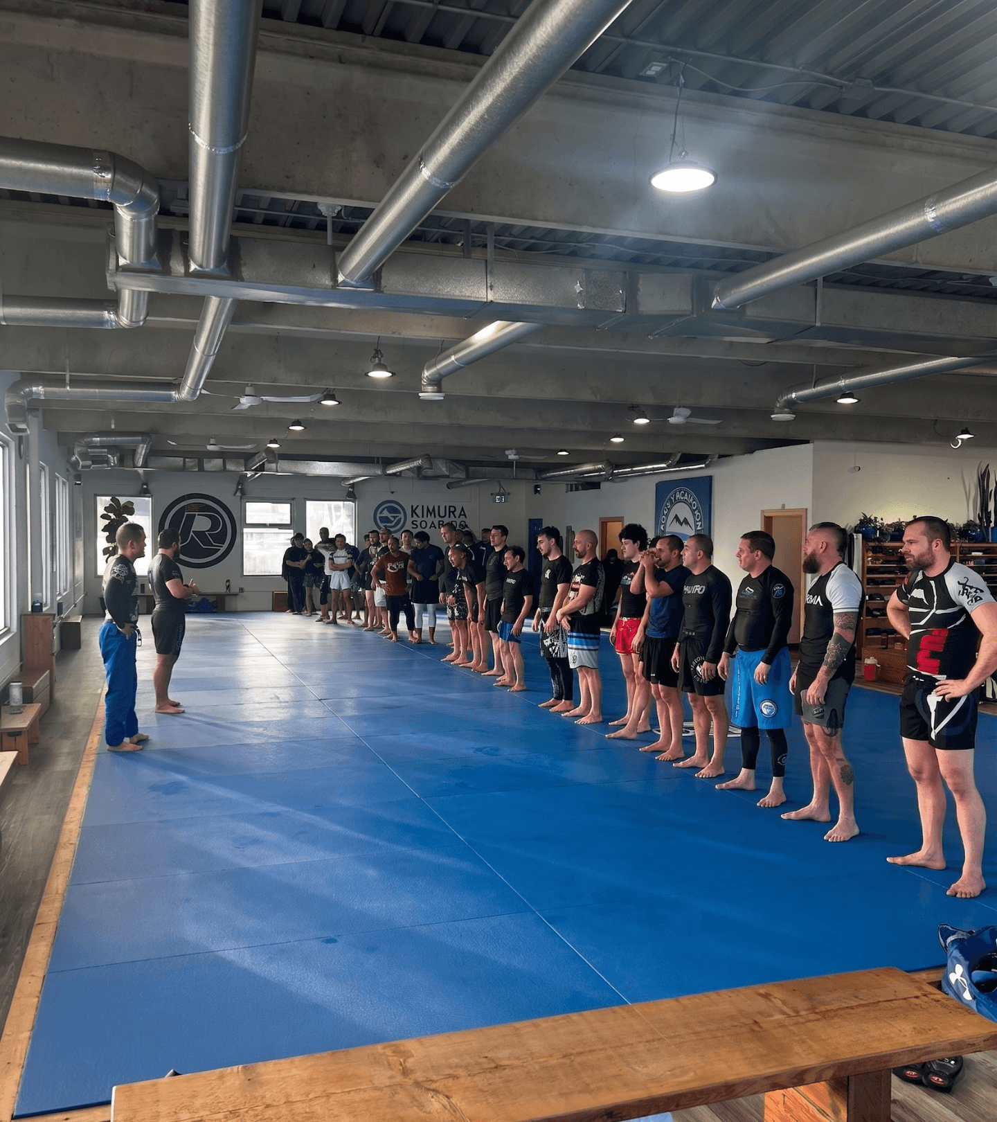 BJJ Techniques